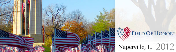 Naperville Healingfield