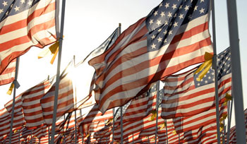 Healing Fields of Honor