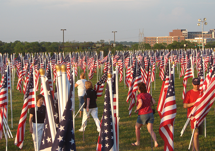 field of flags