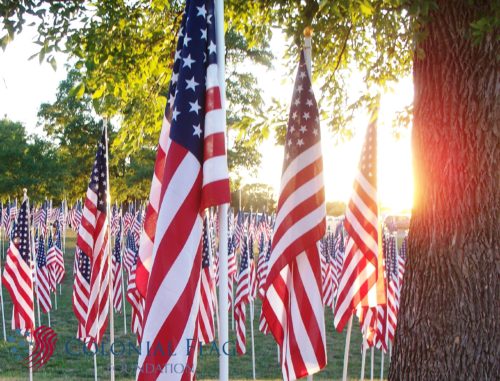 Field of Flags 10