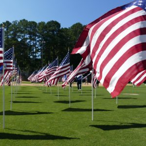 FOH Friday Flags 1