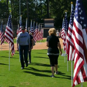 Viewing the flags