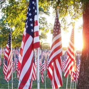 Field of Flags