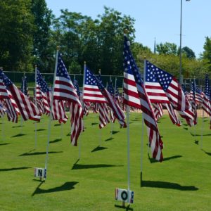 Field of Flags 5