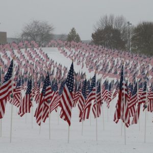 Naperville IL Healing Field