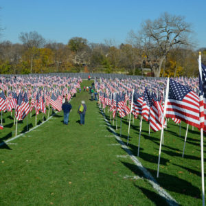 flags-to-wall