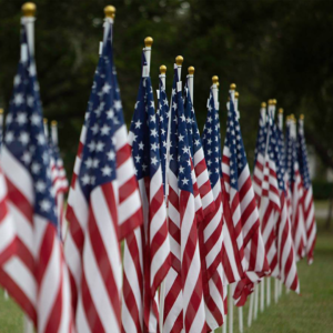 row of flags