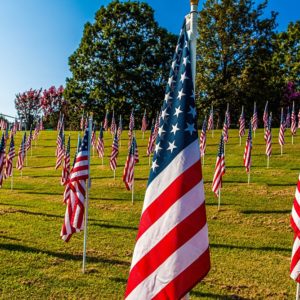 4th annual Field of Honor display coming to Lynchburg in September