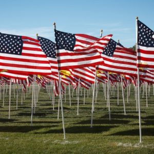 11-13-15-LOCAL-Murrieta-Field-of-Honor-pays-tribute-photo-1-1024x683