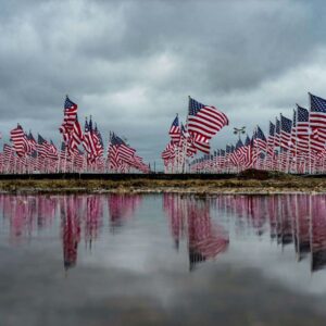 FlagReflection