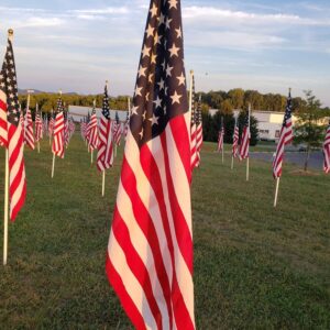 4th annual Field of Honor display coming to Lynchburg in September