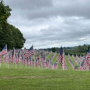 4th annual Field of Honor display coming to Lynchburg in September