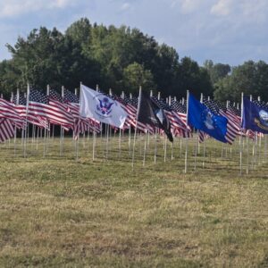 FIELD OF FLAGS