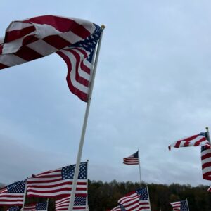 FLAG 2