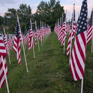 FIELD OF FLAGS B