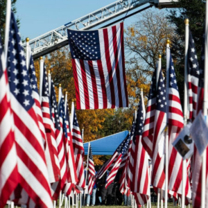 HANGING FLAG