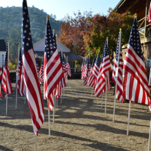 field of flags